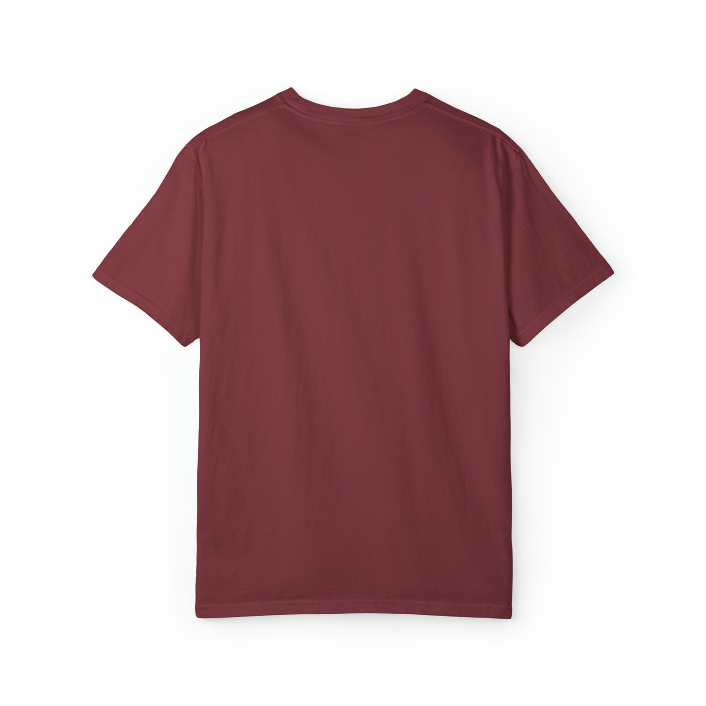 Freedom Eagle Unisex Garment-Dyed T-shirt