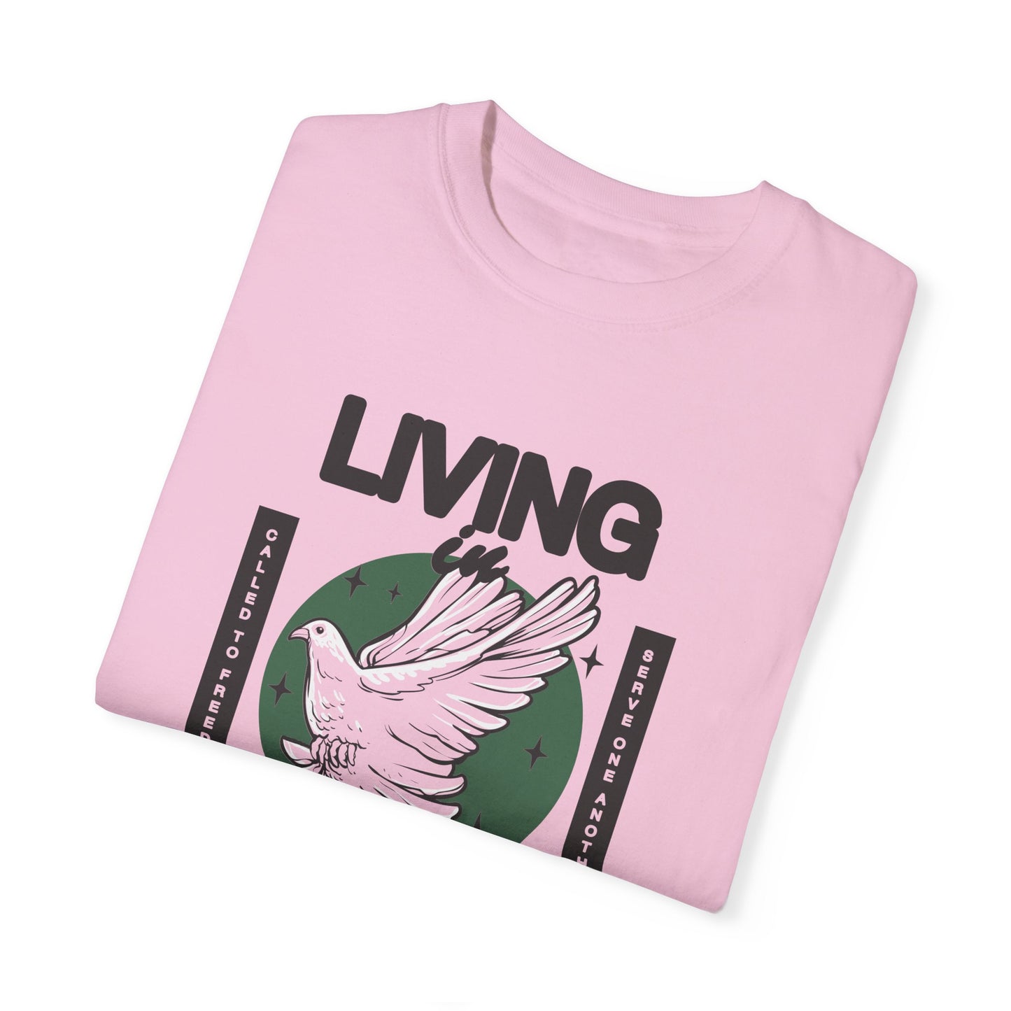 LIFE YA 2024 Design! Unisex Garment-Dyed T-shirt