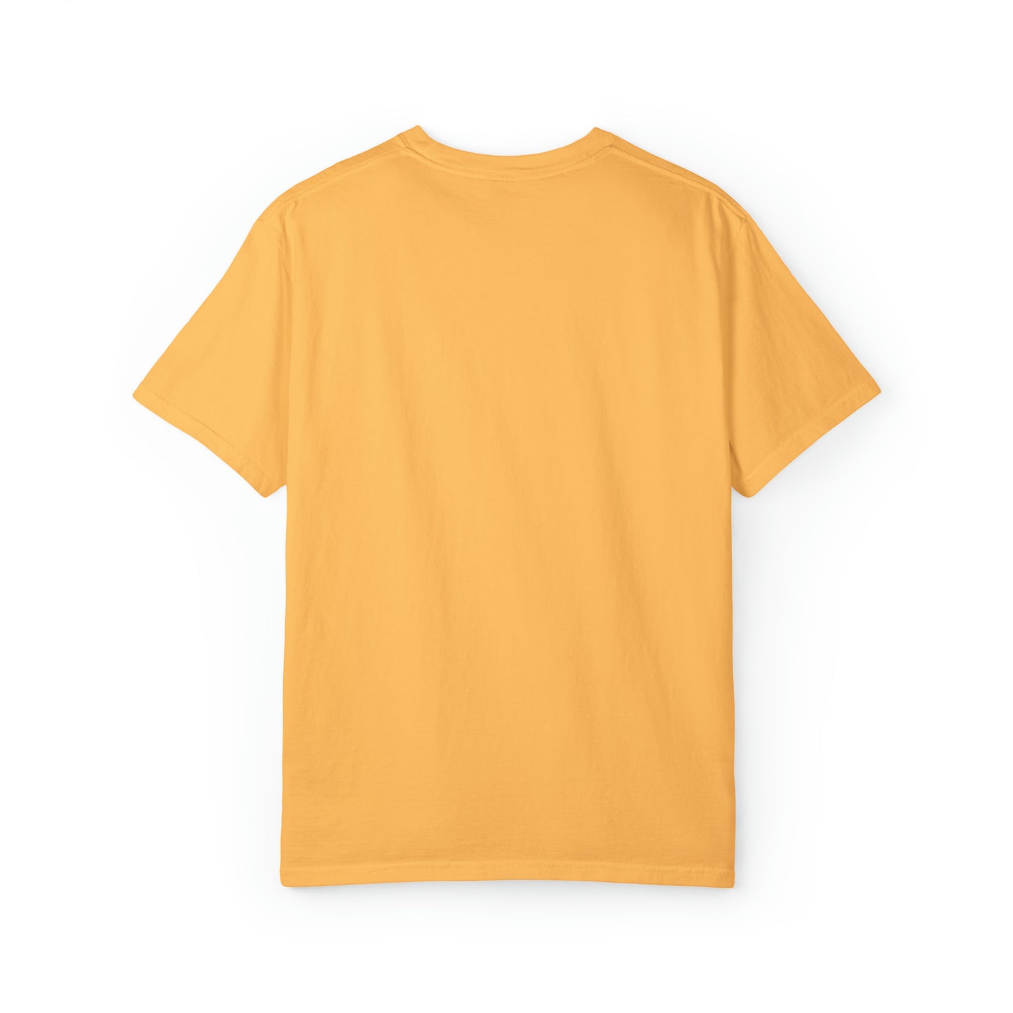Freedom Eagle Unisex Garment-Dyed T-shirt